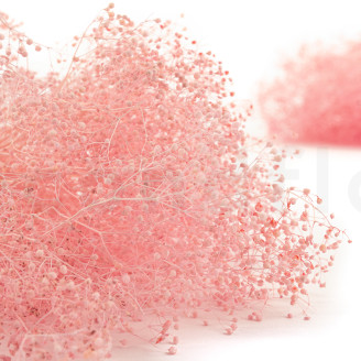 Mini Gypsophila Stabilized - Light Pink