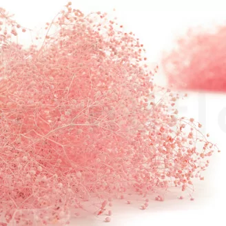 Preserved Mini Gypsophila Light Pink