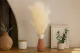 Gypsophile Mini stabilis&eacute; Meringue 1