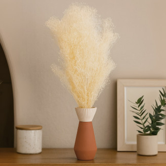 Mini Gypsophila Preserved - Meringue