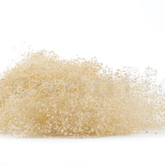 Mini Gypsophila Stabilized - Meringue