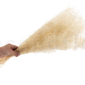 Mini Gypsophila Stabilized - Meringue