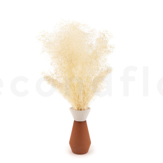 Gypsophila Mini stabilizzata - Meringue