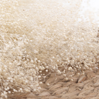 Mini Gypsophila Preserved - Meringue
