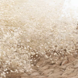 Preserved Mini Gypsophila Meringue