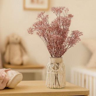 Gypsophila Stabilizzata - Vintage Pink