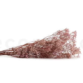 Schleierkraut Stabilisiert - Vintage Pink