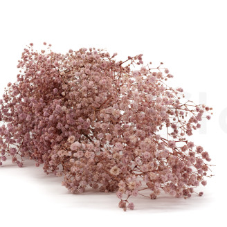 Gypsophile Stabilisé - Vintage Pink