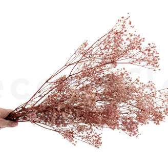 Gypsophila Stabilized - Vintage Pink