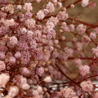 Gipsofila Preservada - Vintage Pink