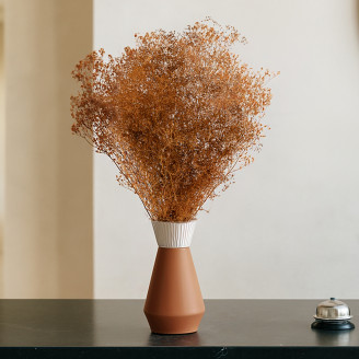 Mini Gypsophila Stabilized - Marmalade