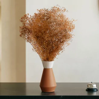 Preserved Mini Gypsophila Marmalade