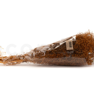 Schleierkraut Mini Stabilisiert - Marmalade