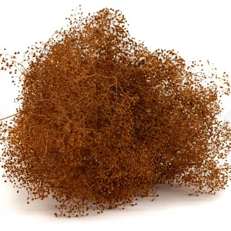 Konserviertes Mini-Schleierkraut Marmalade
