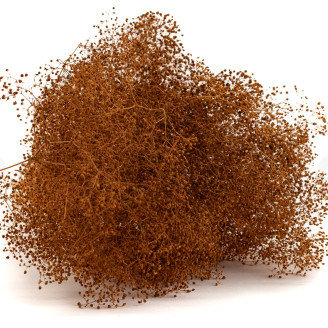 Mini Gypsophila Stabilized - Marmalade