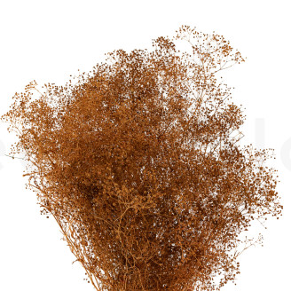 Gypsophila Mini stabilizzata - Marmalade