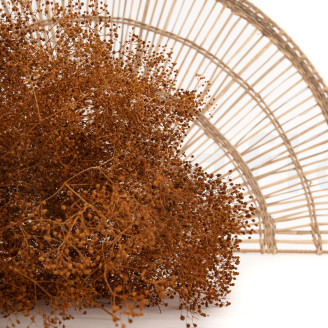 Gypsophile Mini Stabilisé - Marmalade