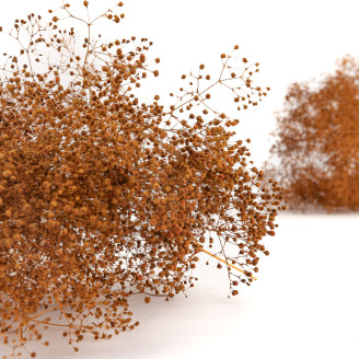 Gypsophila Mini stabilizzata - Marmalade