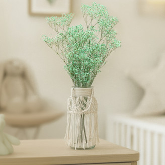 Gypsophila Stabilized - Pastel Turquoise