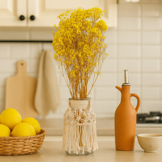 Gipsofila Preservada - Amarillo