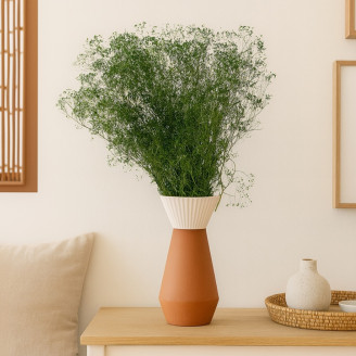 Gypsophile Mini Stabilisé - Eden Green