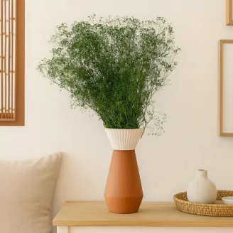 Gypsophile Mini stabilis&eacute; Eden Green