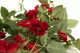 Ghirlanda di Rosa artificiale Rosso 2