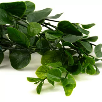 Guirlande d'Eucalyptus artificielle