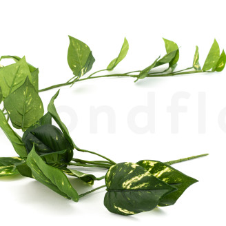 Colgante de Pothos Artificial - Verde