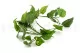 K&uuml;nstlicher H&auml;ngepothos 5