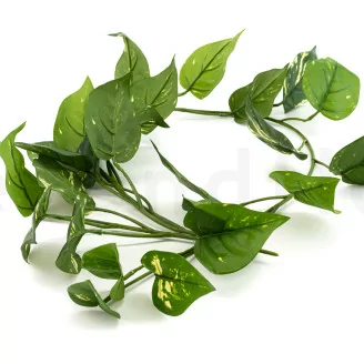 K&uuml;nstlicher H&auml;ngepothos