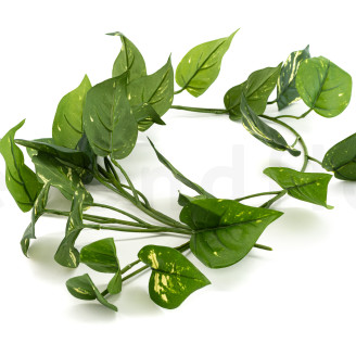 Pothos Artificiale Cadente - Verde