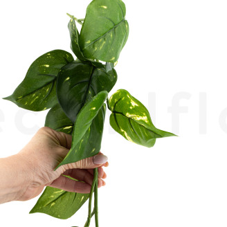 Colgante de Pothos Artificial - Verde