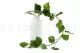 K&uuml;nstlicher H&auml;ngepothos 6