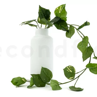 K&uuml;nstlicher H&auml;ngepothos