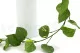 Artificial Hanging Pothos 2