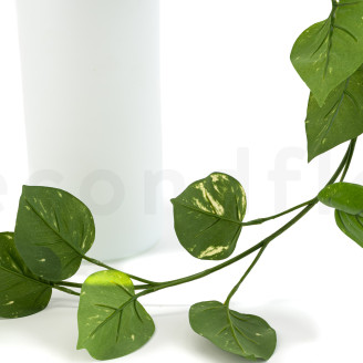 Künstlicher Hängepothos - Grün