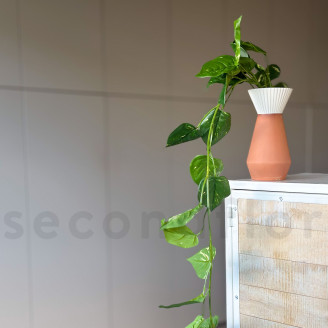 Hanging Artificial Pothos - Green