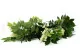 Guirlande de Glycine artificielle Vert & Cr&egrave;me 5