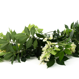 Artificial Wisteria Garland - Green & Cream