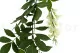 Guirlande de Glycine artificielle Vert & Cr&egrave;me 3