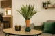 Artificial Chlorophytum - Fire retardant 1