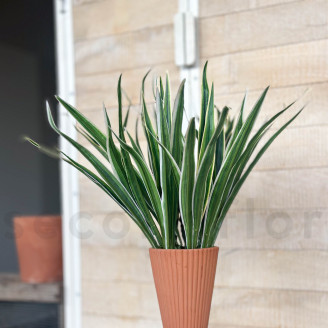 Chlorophytum Artificiale - Verde