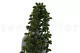 Kleinia Herreana artificial Colgante 3