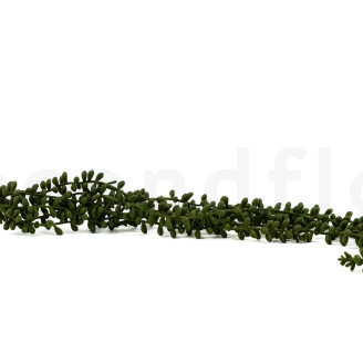 Kleinia Herreana Artificiale Cadente - Verde