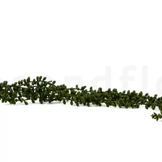 K&uuml;nstliche H&auml;nge-Kleinia Herreana