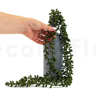 Chute de Kleinia Herreana Artificielle - Vert