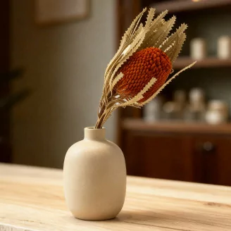 Dried Banksia Hookeriana - 1 Stem - Orange