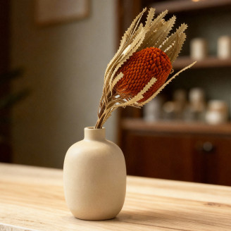 Getrocknet Banksia Hookeriana - 1 Stiel - Orange