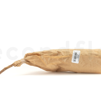 Dried Banksia Hookeriana - 1 Stem - Orange